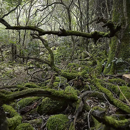 Hotel Jasmine Teulada