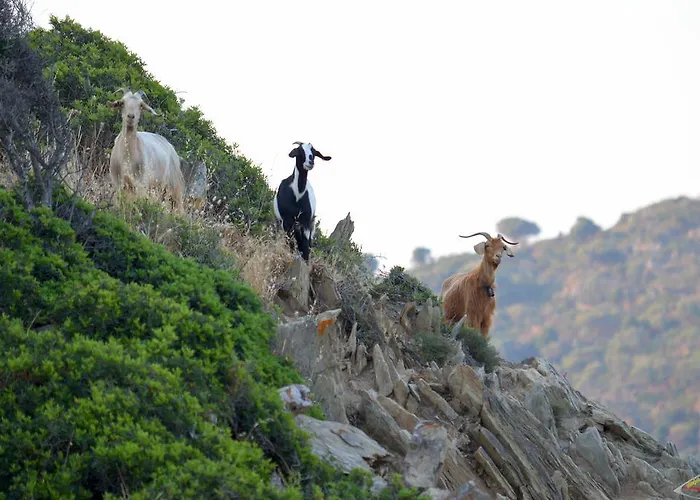 Jasmine Отель 3*