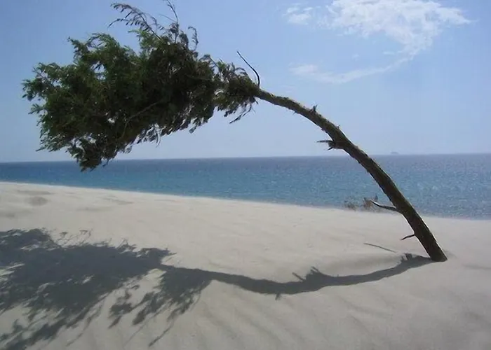 Jasmine 3* Теулада