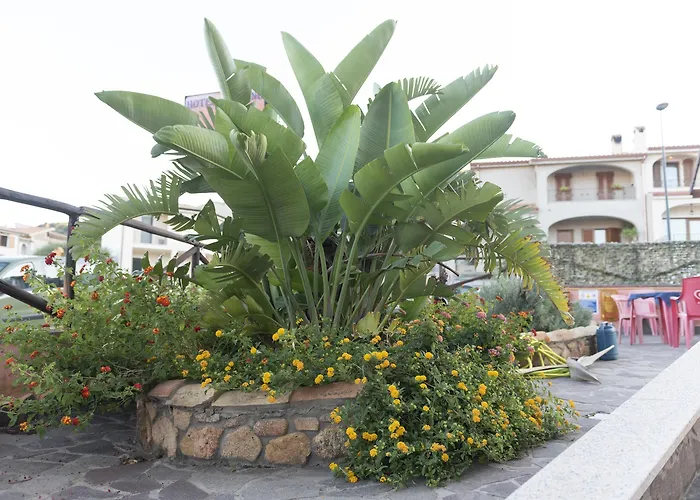 Jasmine Отель Теулада