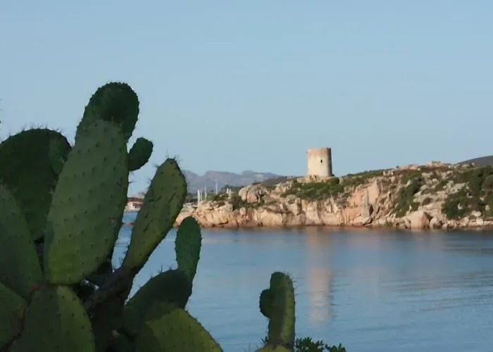 Отель Jasmine 3*