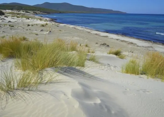 Jasmine 3* Теулада