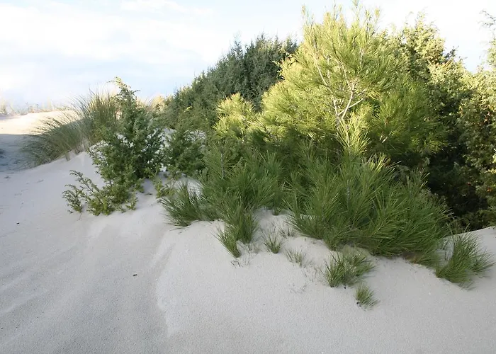 Jasmine 3* Теулада