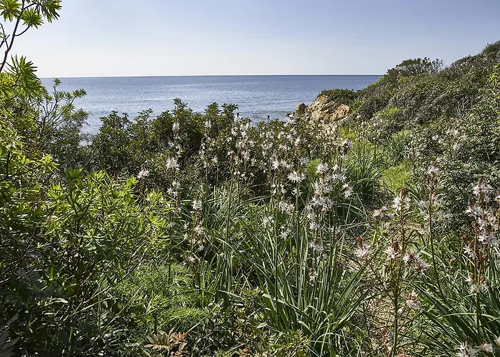 Jasmine Отель 3*