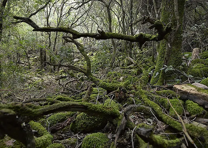 Отель Jasmine Теулада