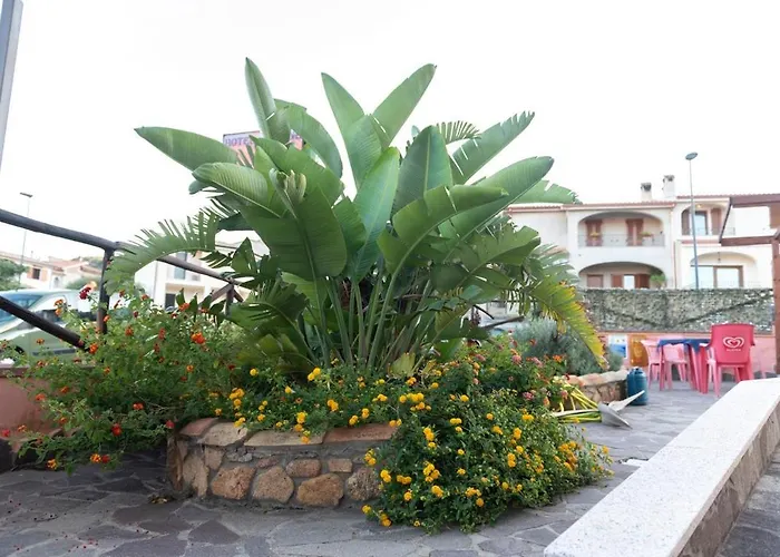 Jasmine Теулада